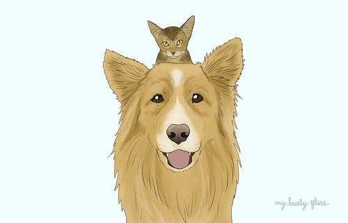 The Cleanliness Debate: Cats vs Dogs
