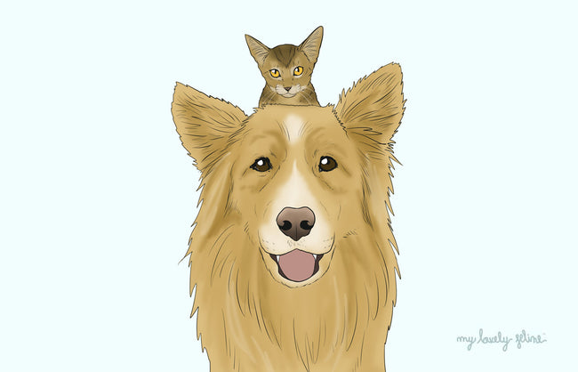 The Cleanliness Debate: Cats vs Dogs