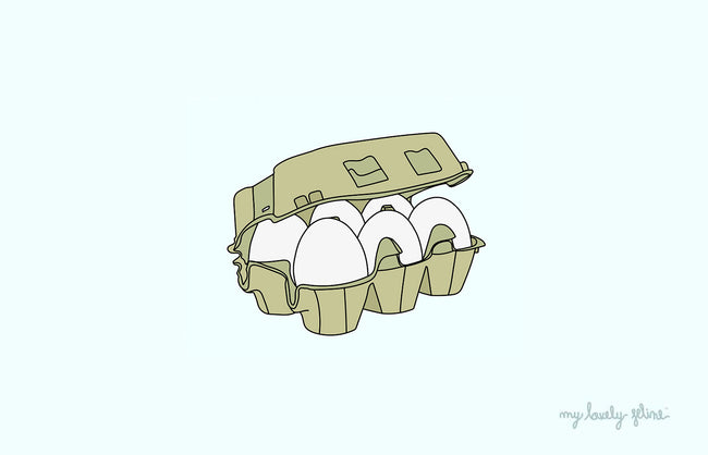 Can Cats Eat Eggs?