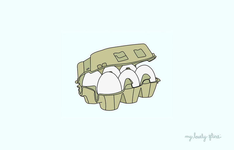 Can Cats Eat Eggs?