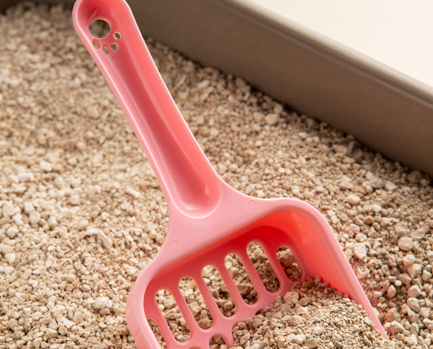 Litter Box