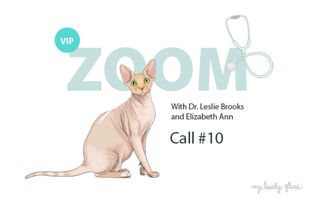 Sphynx Cat