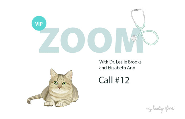 Skin Issues in Cats