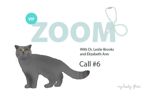 Dental Care and Litter Box