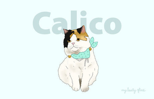 Calico Cat