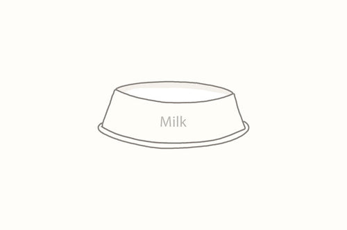 Can Cats Drink Milk?