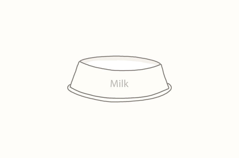 Can Cats Drink Milk?
