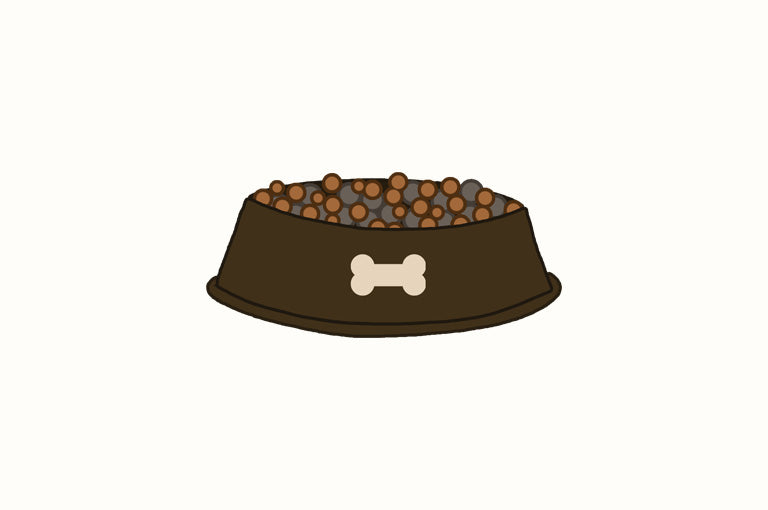 Can Cats Eat Dog Food?