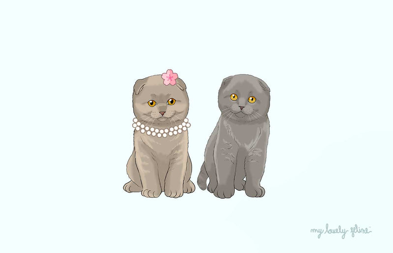 Cat Spaying and Neutering