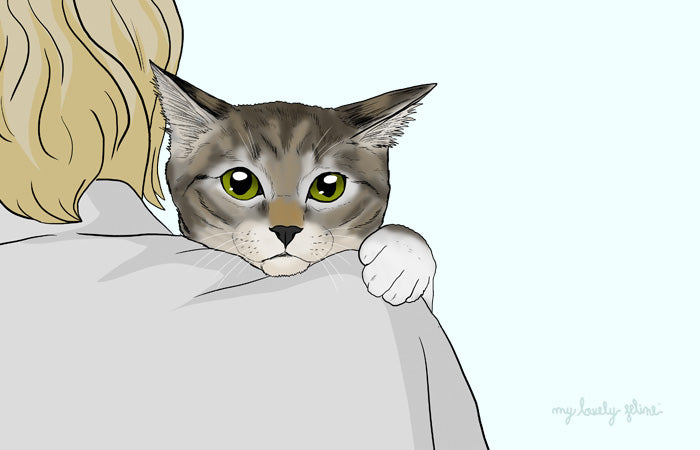 Adopting a Cat
