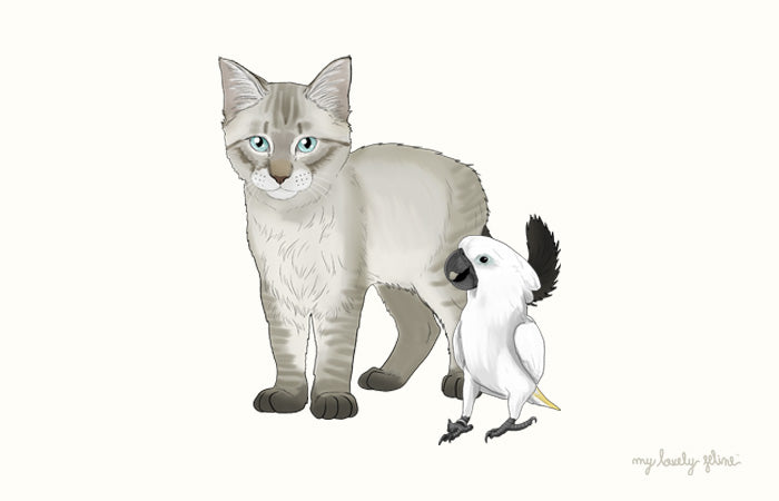 A Cat and A Bird
