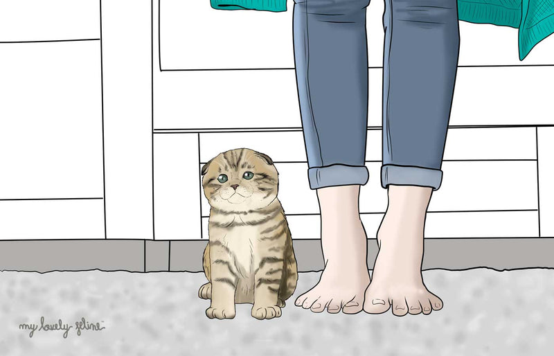 Kitten and Human