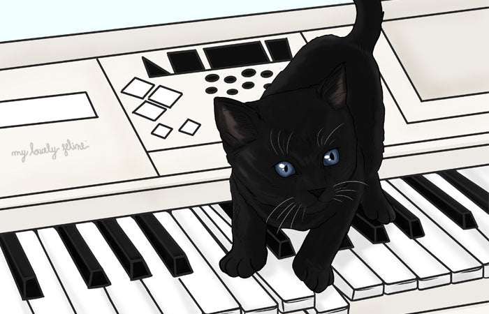 Cats and Music