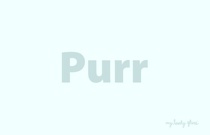 Why Do Cats Purr?