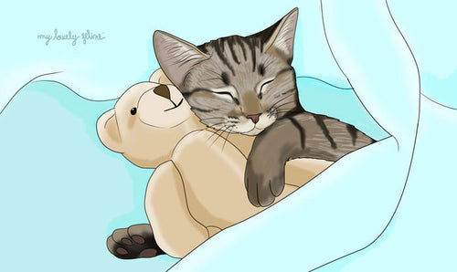 Cat sleeping