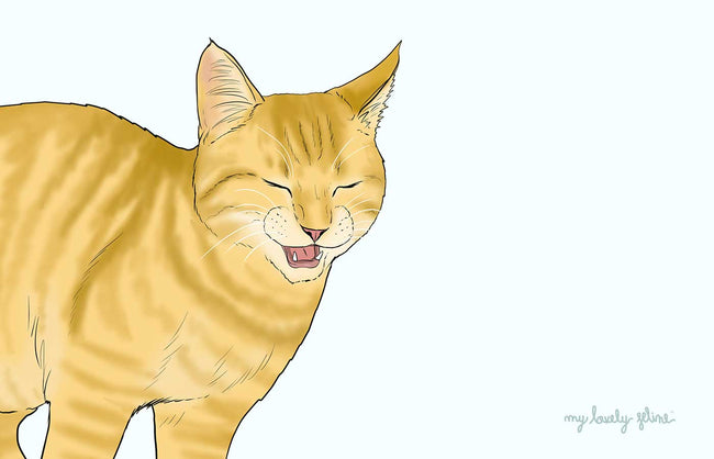 Why Is My Cat Sneezing?