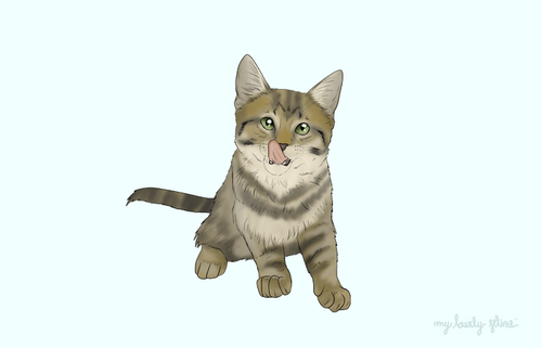 Cat tongue out