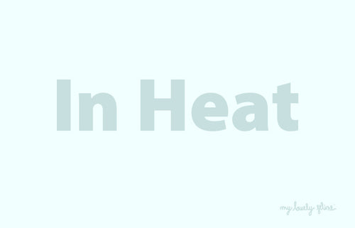 What Does it Mean When a Cat is in Heat?—By Dr. Leslie Brooks