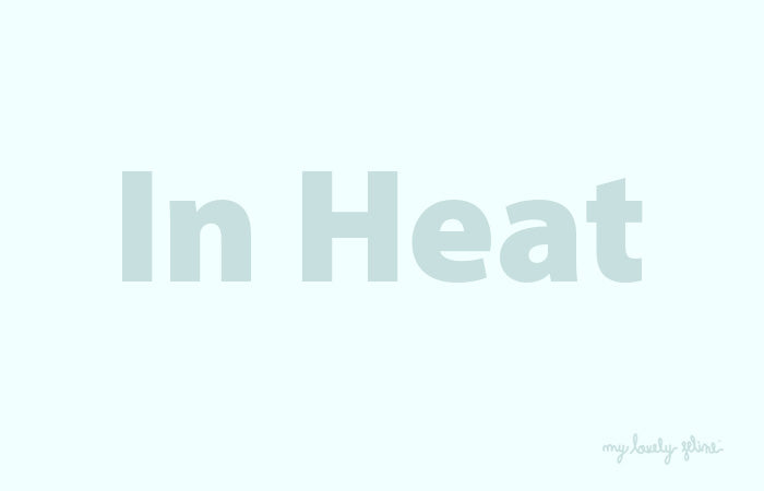 What Does it Mean When a Cat is in Heat?—By Dr. Leslie Brooks