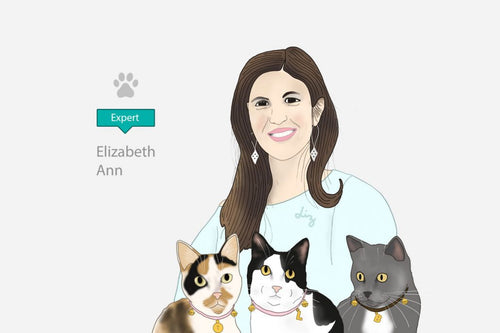 Voice of the expert: Elizabeth Italia 💁♀️