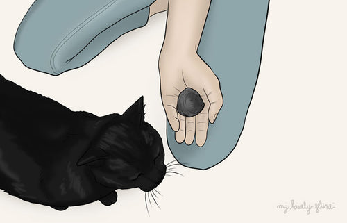 Cat Hairballs