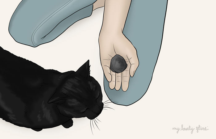 Cat Hairballs