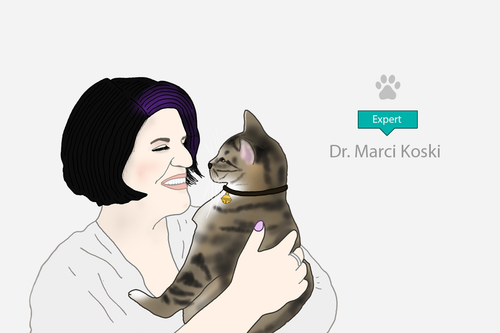 Voice of the expert: Marci Koski 👩⚕️