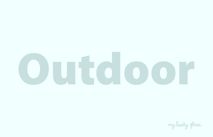 How to Care for Outdoor Cats