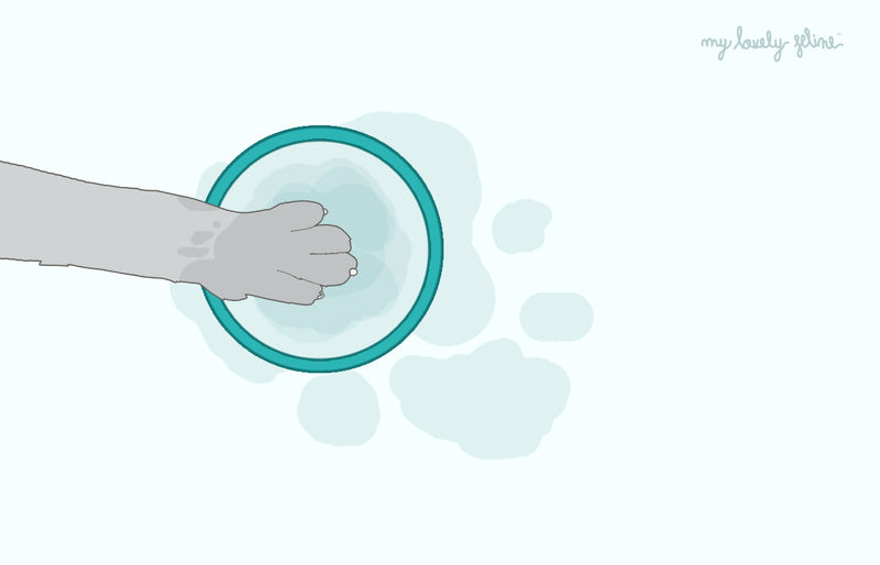 Why Do Cats Dip Paws in Their Water Bowl