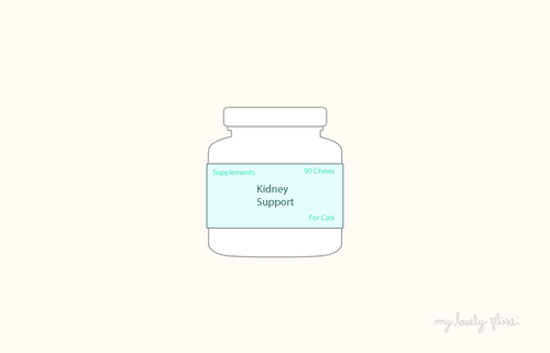 The Ultimate Guide to Choosing the Best Supplements for Cats