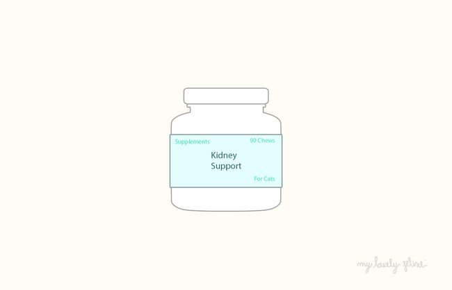 The Ultimate Guide to Choosing the Best Supplements for Cats