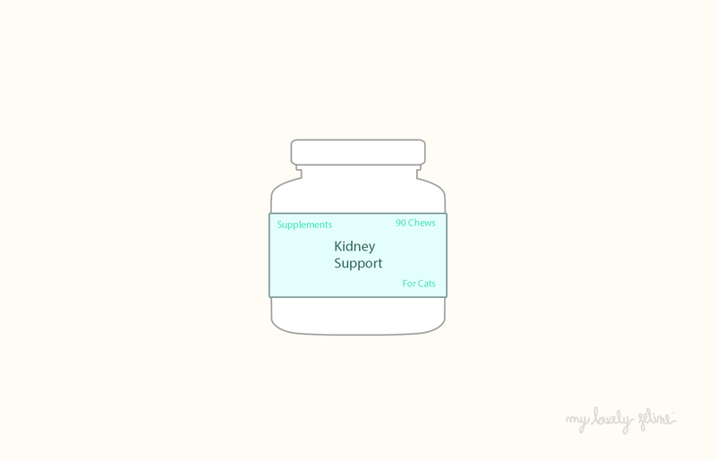 The Ultimate Guide to Choosing the Best Supplements for Cats