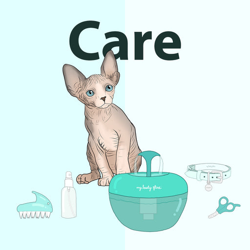 Feline Care