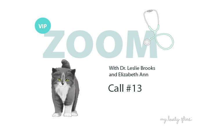 Zoom Recap: Intestinal Obstructions & Foreign Bodies and Working with Traumatized Cats—Call #13
