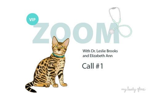 Zoom Recap: Feline Wellness & Behavior—Call #1