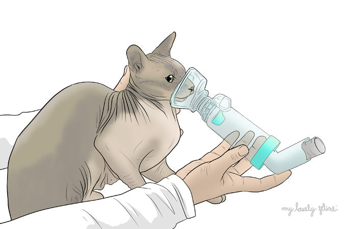 Asthma in Cats