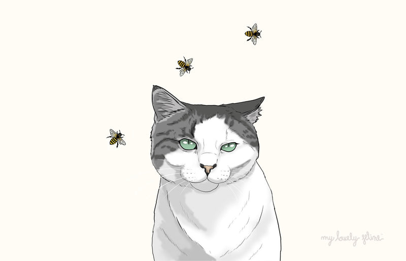 Cat Stung by a Bee or Wasp