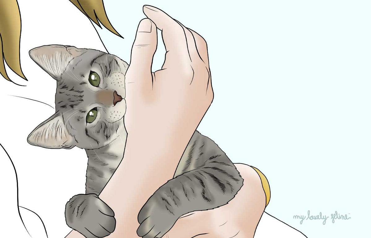 3 Ways to Feed a Cat Using Food Puzzles - wikiHow Pet