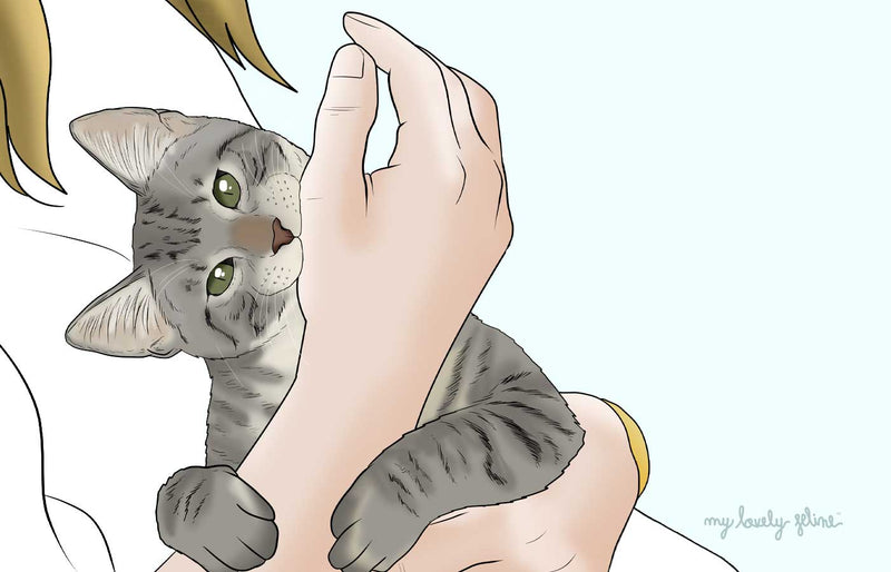 8 Reasons Your Cat Bites You Unprovoked