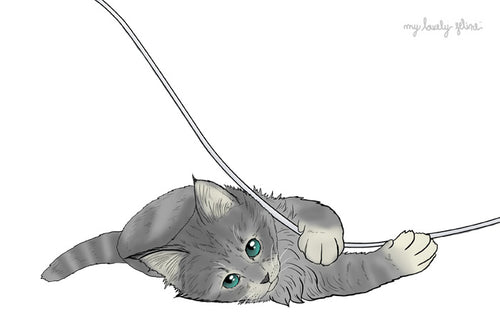 Cat Playing with Electrical Cord