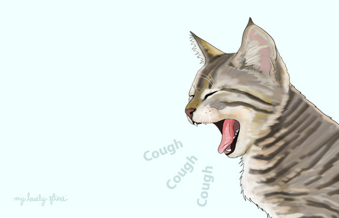 Coughing in Cats—By Dr. Leslie Brooks