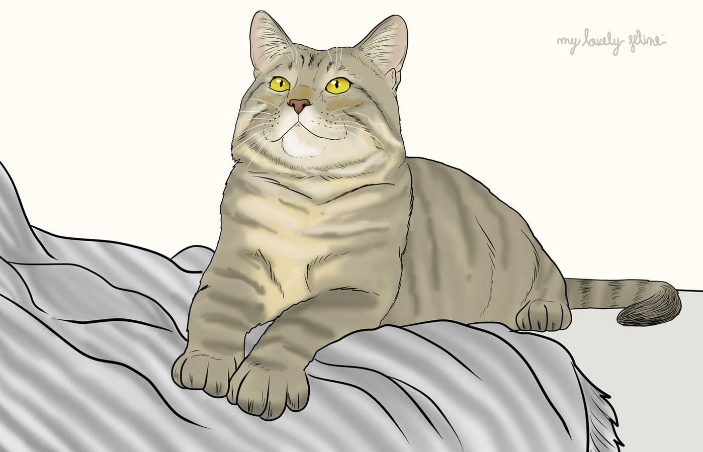 What Do Cats Think of Humans?