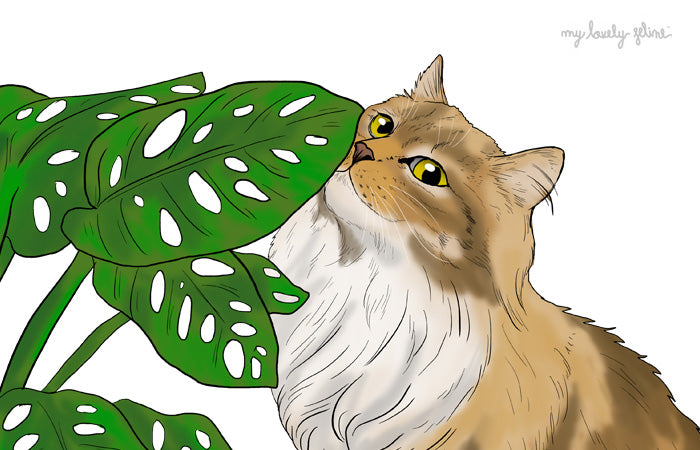 Cat smelling a plant