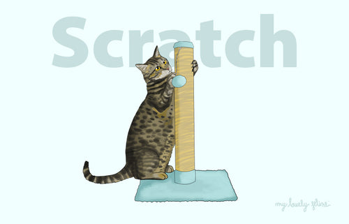 Why Do Cats Scratch & How to Keep Your Furniture Safe