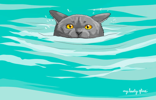 Can Cats Swim? Facts & Theories That Might Surprise You