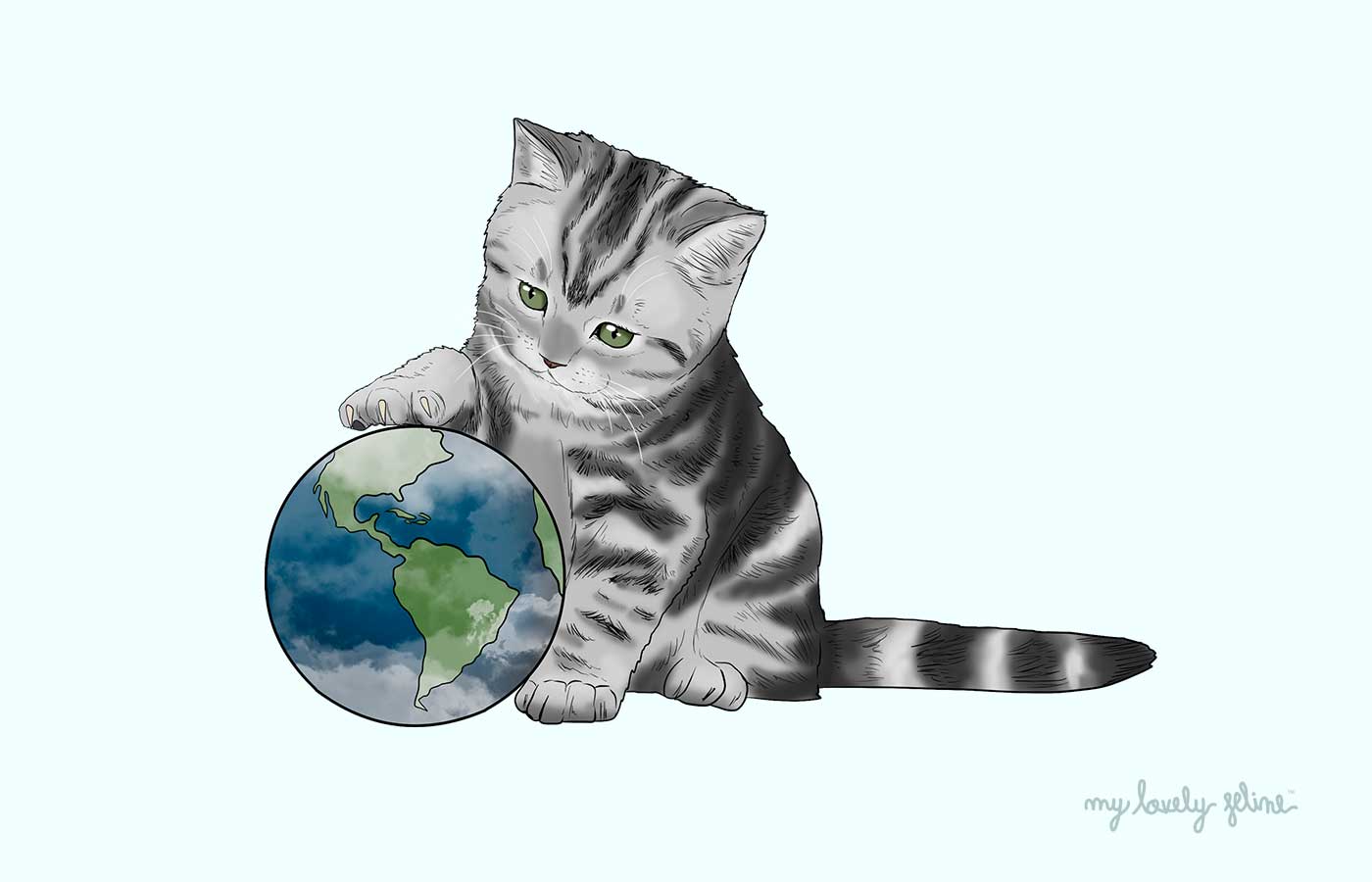 How do cats see the world 