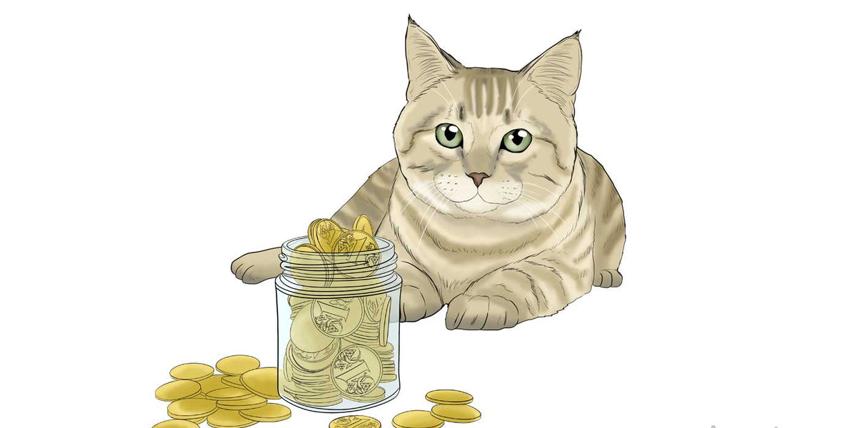 How Much Does Owning a Cat Cost?