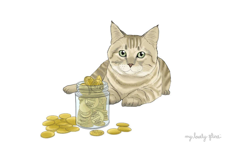 How Much Does Owning a Cat Cost?