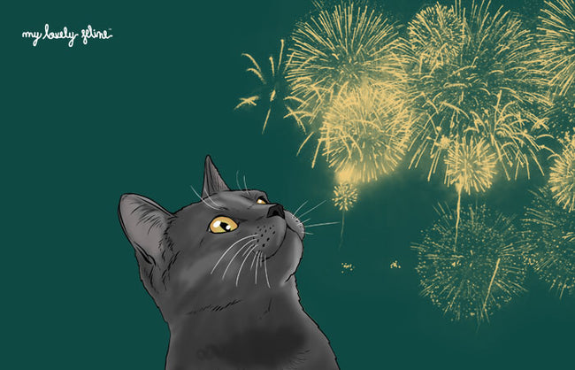 How to Help Your Cat Cope With Fireworks
