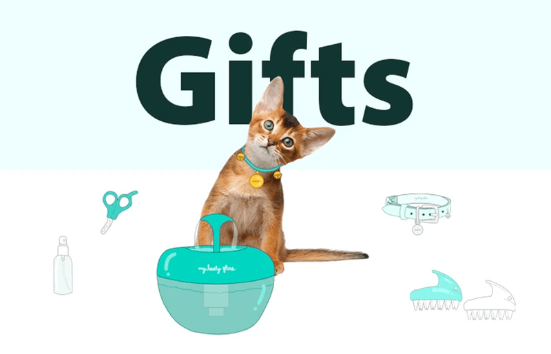 Holiday Gift Ideas for Cat Lovers